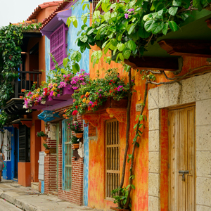 Colorful picture of a street house with lots of flowerboxes outside